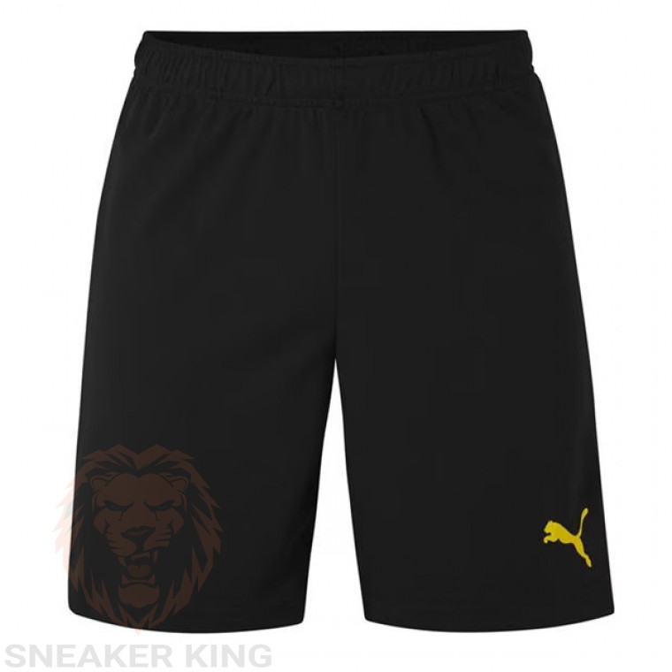 Спортивні шорти Puma rise short